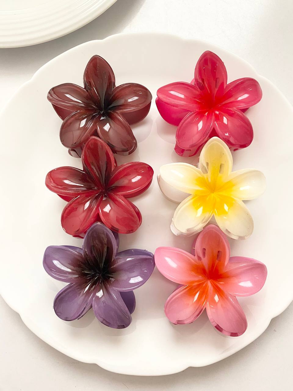 کلیپس پلومریا آبرنگی خارجی و باکیفیت