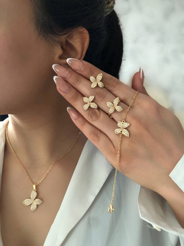 سرویس بدلیجات رنگ ثابت